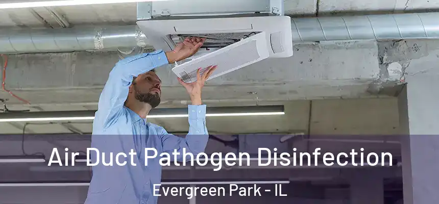 Air Duct Pathogen Disinfection Evergreen Park - IL