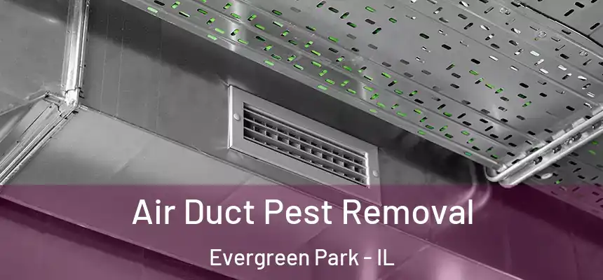  Air Duct Pest Removal Evergreen Park - IL