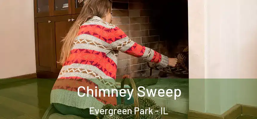  Chimney Sweep Evergreen Park - IL