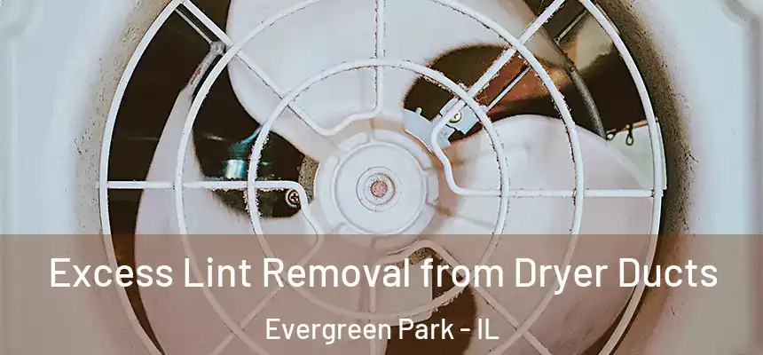 Excess Lint Removal from Dryer Ducts Evergreen Park - IL