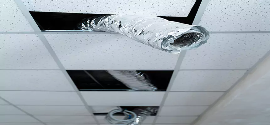 Affordable HVAC Sanitizing After Pest Removal in Evergreen Park