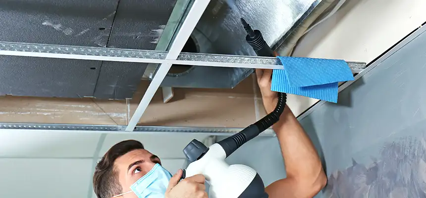 Our Air Duct Rodent Removal Services in Evergreen Park, IL