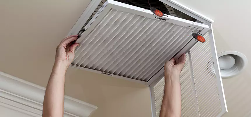 Our Insect Removal from Air Ducts Services in Evergreen Park, IL