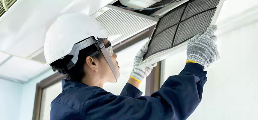 Our Mold & Mildew Removal from Air Ducts Services in Evergreen Park, IL