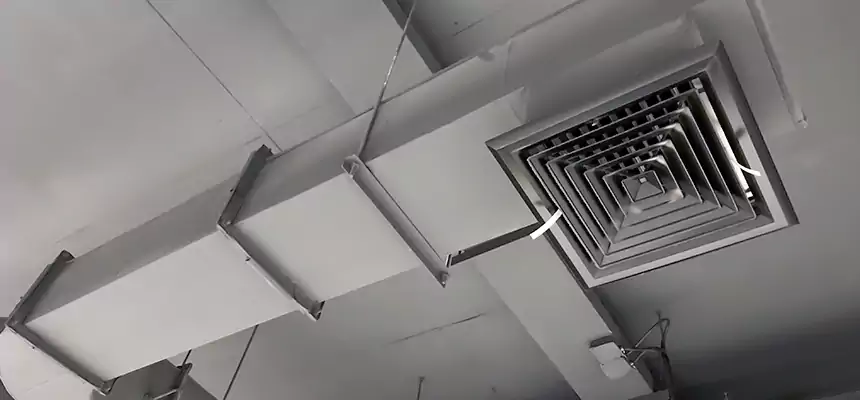 Our Pest Removal From Ducts Services in Evergreen Park, IL