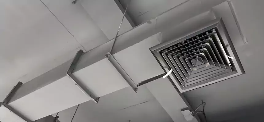 Our Rodent Droppings In Vents Services in Evergreen Park, IL