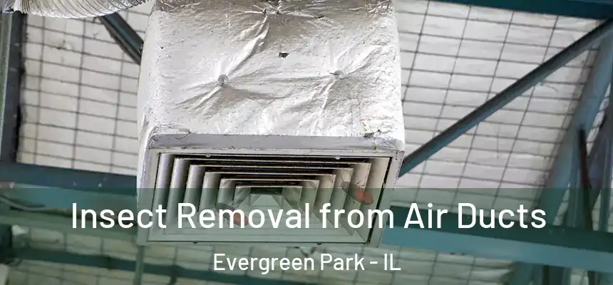  Insect Removal from Air Ducts Evergreen Park - IL