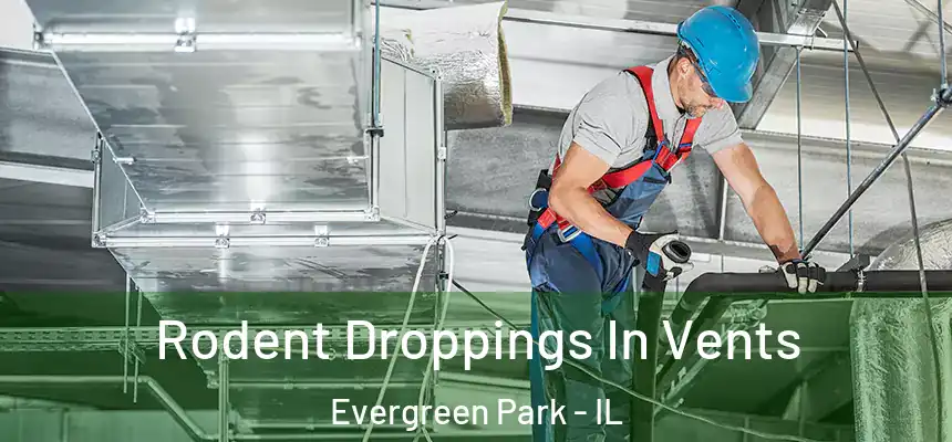  Rodent Droppings In Vents Evergreen Park - IL