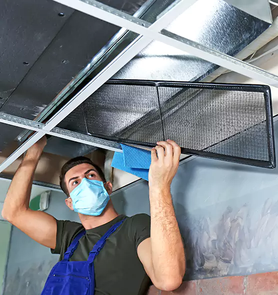 About Air Duct Bacteria Removal in Evergreen Park