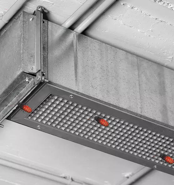 About Air Duct Cockroach Removal in Evergreen Park, IL