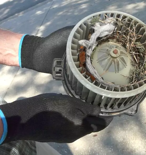 About Air Duct Mice Removal in Evergreen Park, IL