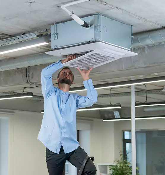 Advanced Rodent Droppings In Vents in Evergreen Park, IL