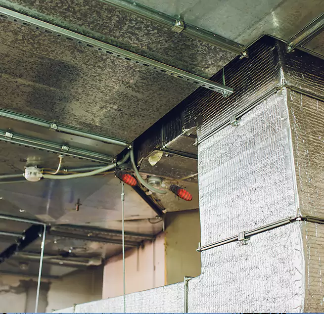 Why Homeowners & Businesses Trust Us in Evergreen Park, IL?