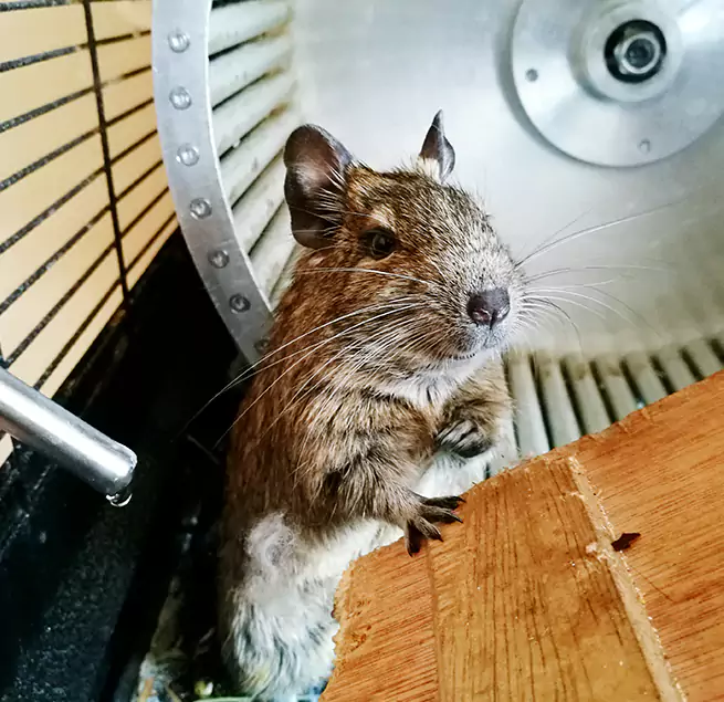 Why Homeowners & Businesses Trust Us Evergreen Park, IL