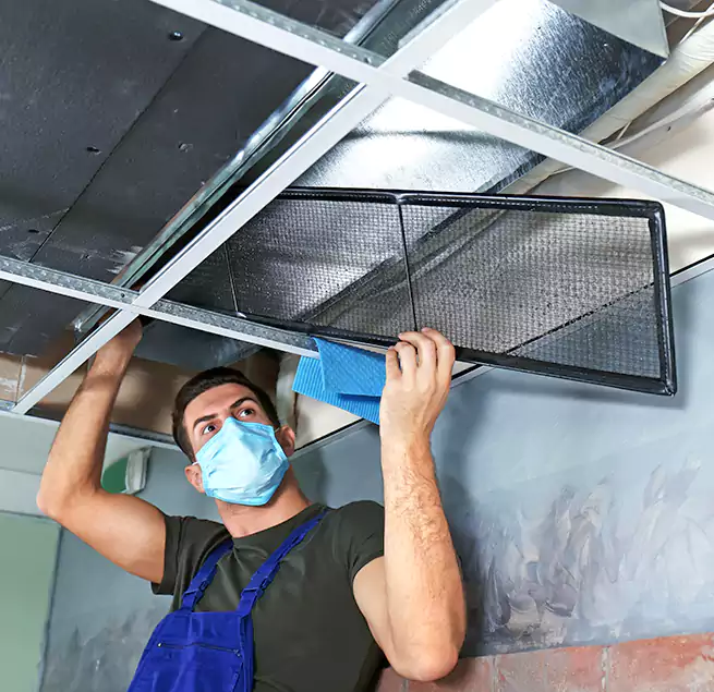 Why Homeowners Businesses Trust Us in Evergreen Park, IL