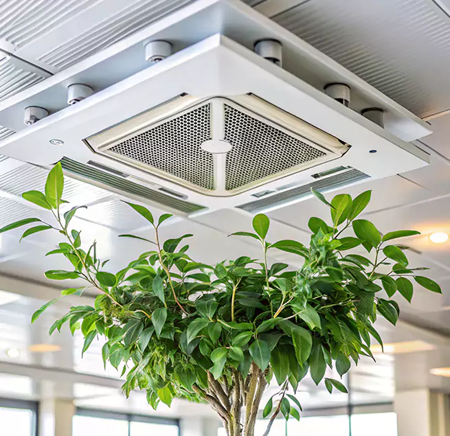 Why Homeowners & Businesses Trust Us in Evergreen Park, IL?