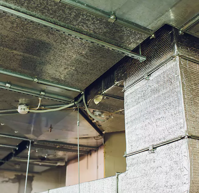 Why Homeowners & Businesses Trust Us in Evergreen Park, IL?